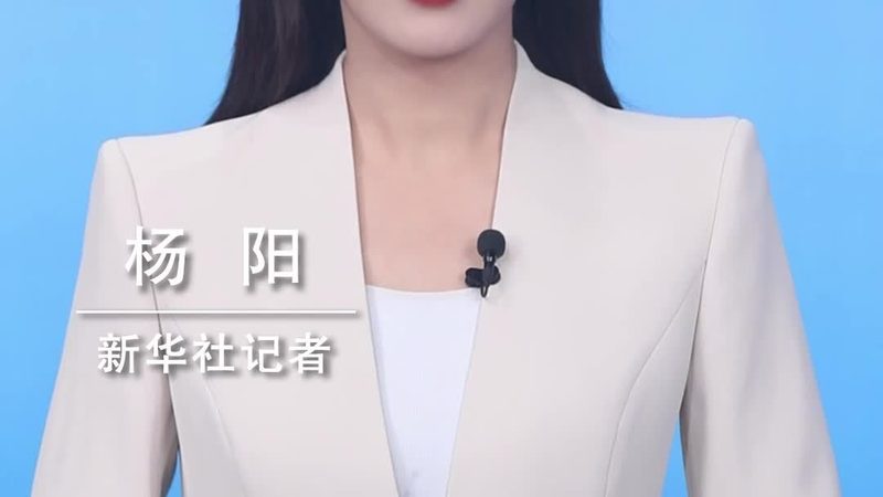 数据可视化：图表制作全攻略